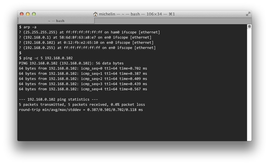 Terminal-ping.png