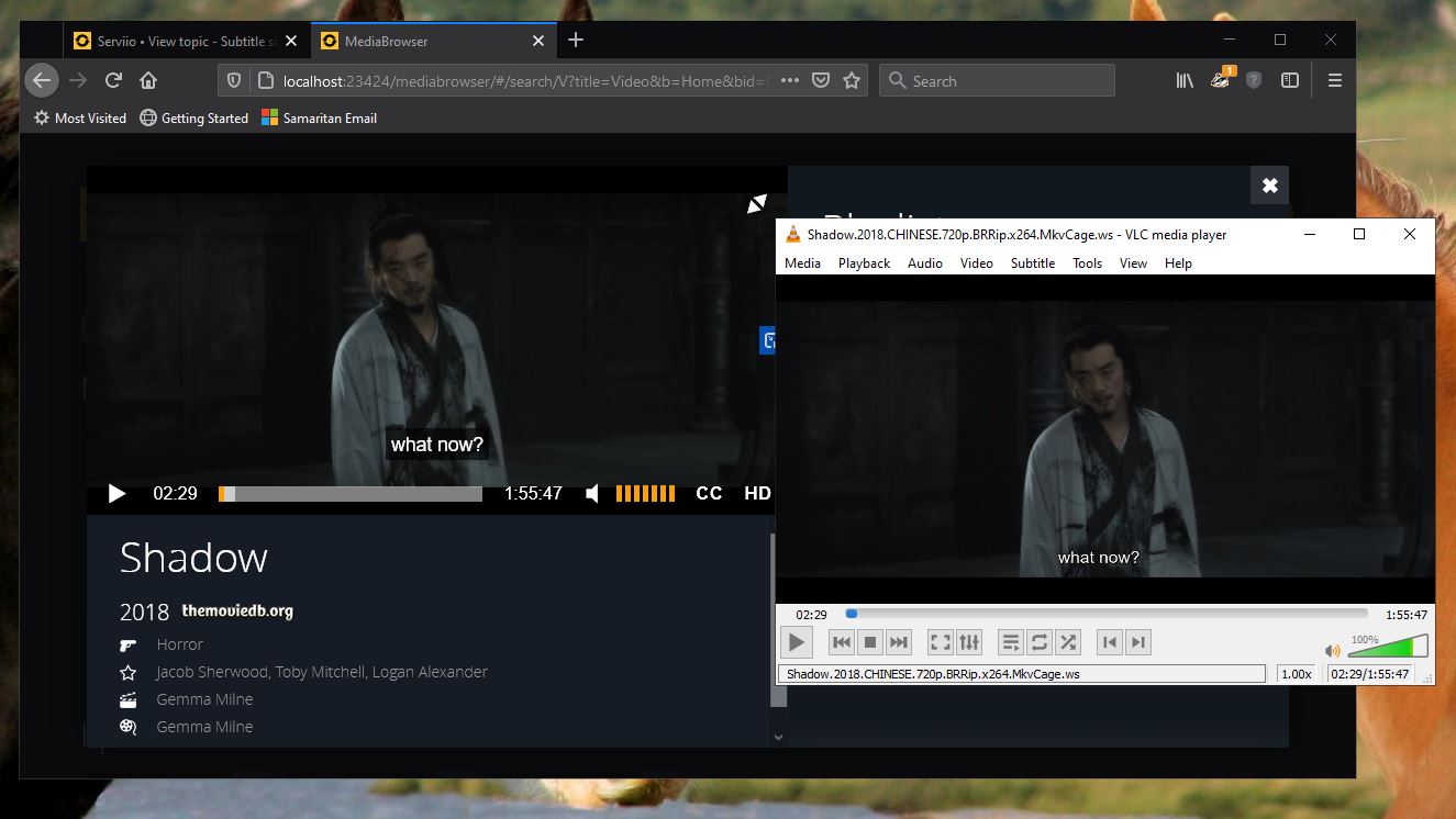 subtitles.JPG