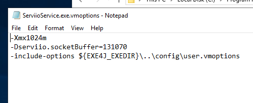 ServiioService.exe.vmoptions.PNG
